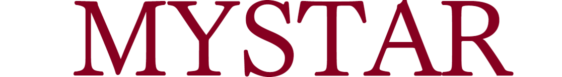 マイスター株式会社